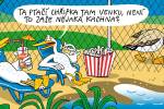 Informace o preventivních opatření v malochovech drůbeže k zabránění šíření newcastleské choroby a ptačí chřipky Ilustrační foto - Informace o preventivních opatření v malochovech drůbeže k zabránění šíření newcastleské choroby a ptačí chřipky