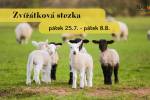 Letní program Centra Náruč pro rodiny s dětmi: Přijďte si užít srpen s námi! Ilustrační foto - Letní program Centra Náruč pro rodiny s dětmi: Přijďte si užít srpen s námi!